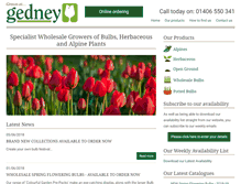 Tablet Screenshot of gedneybulb.co.uk